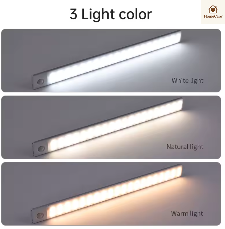 multifunctional lamp