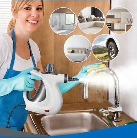 Steam Cleaner